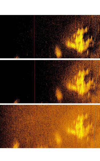 Deep Sea Vision said that it had captured a sonar image in the Pacific Ocean that “appears to be Earhart’s Lockheed 10-E Electra” aircraft.