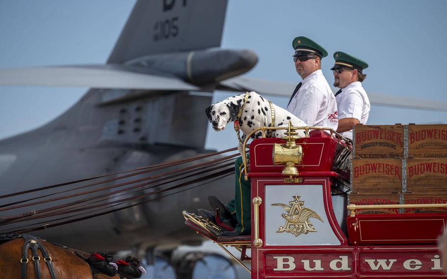 A Budweiser Clydesdales team trots around the Frontiers in Flight Air Show on Aug. 24, 2024, at McConnell Air Force Base, Kan.