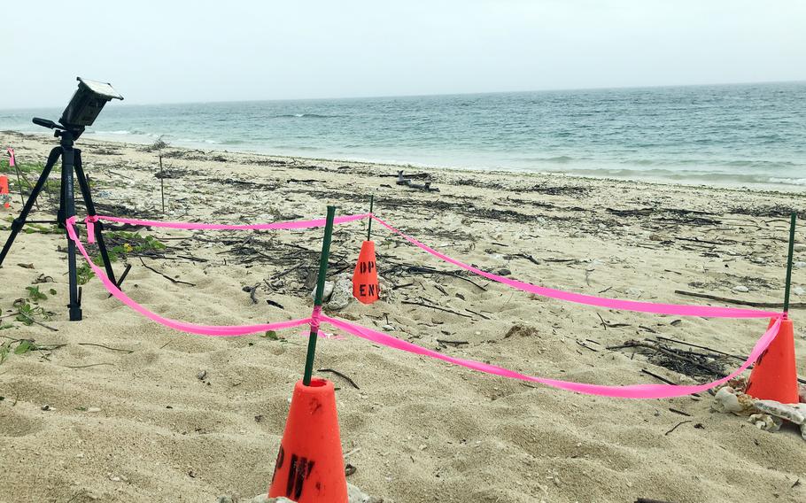 Orange cones surround the green sea turtle relocation nest at Torii Beach on Torii Station, Okinawa, May 31, 2024.