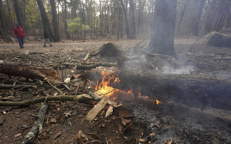 People walk past burning wood in a forest.