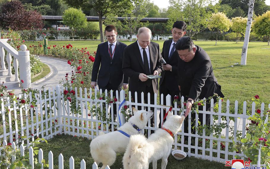 North Korean leader Kim Jong Un presents a pair of Pungsan dogs to Russian President Vladimir Putin in a garden at the Kumsusan State Guest House in Pyongyang on June 19, 2024.