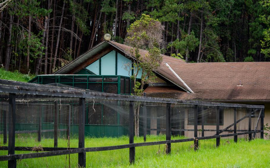 Formed in 1997, the Maui Bird Recovery Project, shown Dec. 6, 2022, develops and implements techniques that recover Maui's endangered forest birds and restores their habitats through research, development and application of conservation techniques.