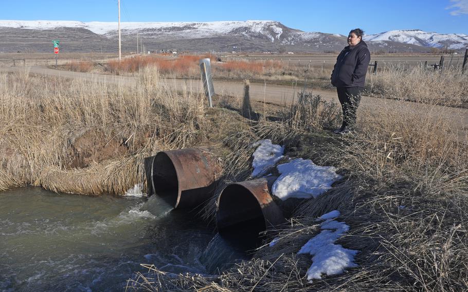 Shoshone-Paiute tribal member Tanya Smith Beaudoin stands along an irrigation canal that she grew up swimming in, on March 14, 2024, in Owyhee, Nev., the only town on the Duck Valley Indian Reservation that straddles the Nevada-Idaho border.