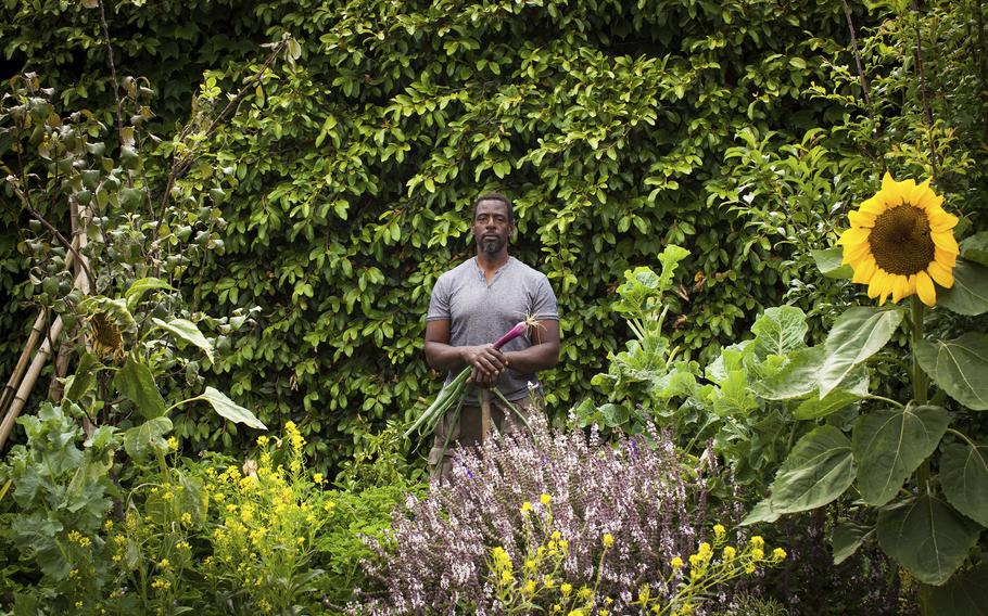 Ron Finley stands in an urban garden in Los Angeles. In some of the poorest neighborhoods in major cities, a dearth of fresh produce has created so-called "food deserts," along with high rates of diabetes and malnutrition. The urban gardening movement is trying to change that. Charismatic community leaders like Ron Finley in LA have argued for years that growing your own food is empowering. 