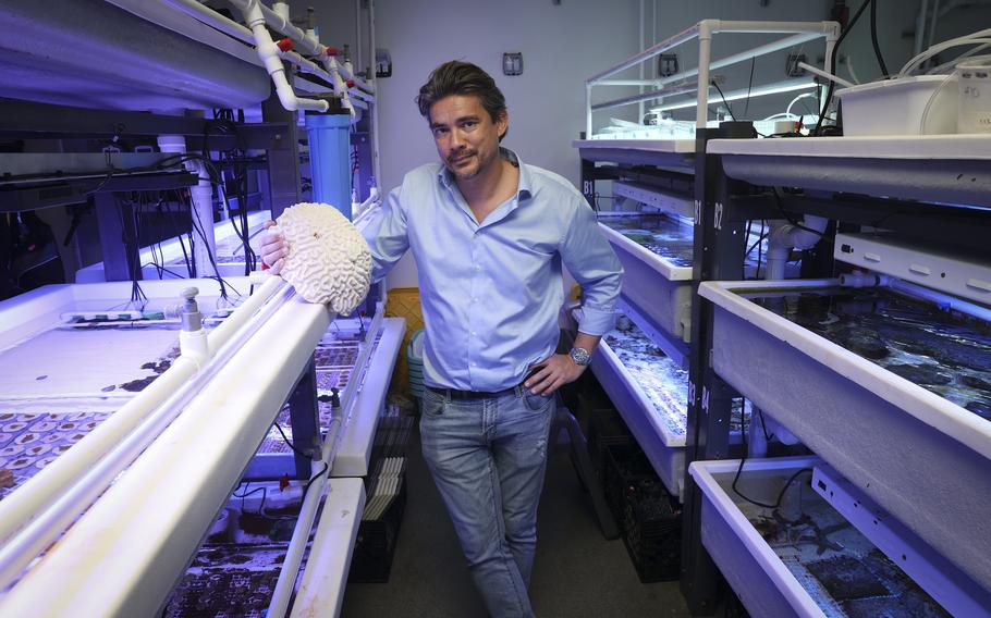 University of Miami professor Andrew Baker poses in a wet lab with a coral on Thursday, Dec. 15, 2022, in Miami at the Rosenstiel School of Marine, Atmospheric, and Earth Science.