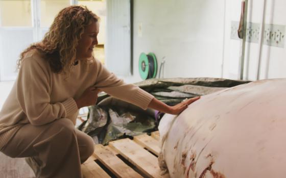 This photo provided by OneWhale.org on Wednesday, Sept. 4, 2024, shows manager Regina Haug next to the carcass of the beluga whale Hvaldimir, who was found dead on Saturday, Aug. 31, 2024. (OneWhale.org via AP)