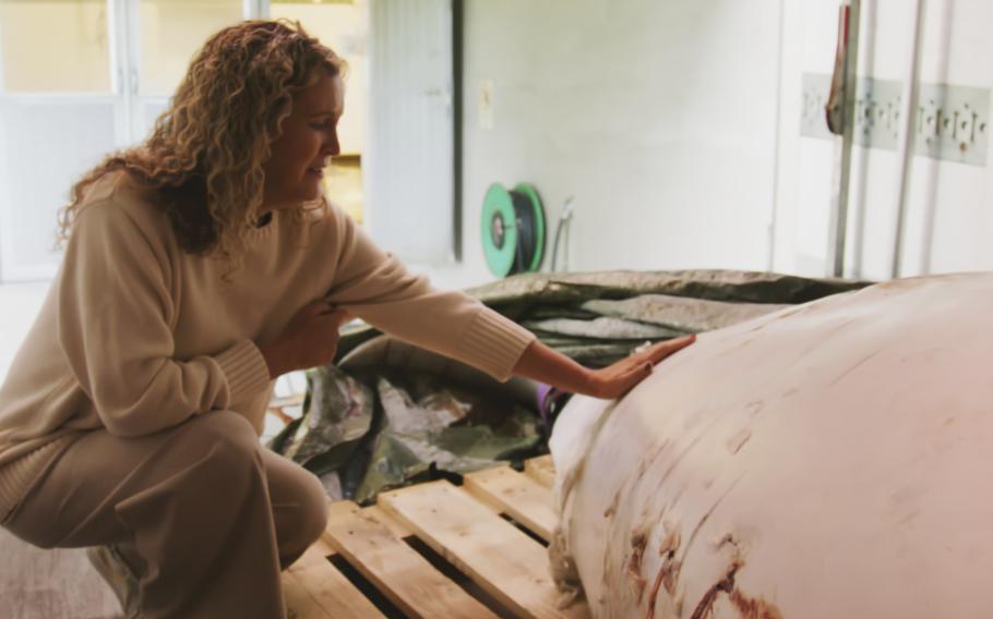 A woman next to the carcass of  beluga whale Hvaldimir