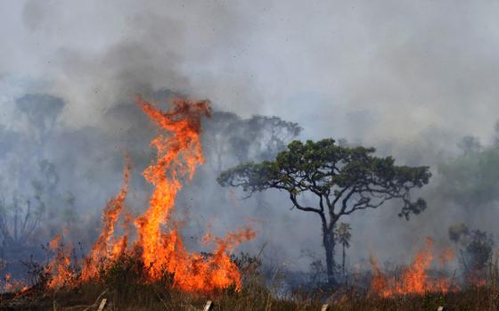 Fire spreads in the environmentally protected area of Brasilia National Park during the dry season in Brasilia, Brazil, Monday, Sept. 16, 2024. The head of the agency that manages protected areas, Mauro Pires, told the local press that the fire is man-made and appears to have started near the edge of a farm. (AP Photo/Eraldo Peres)