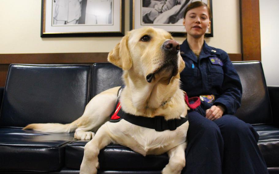 Demo is one of four facility dogs that has deployed aboard East Coast-based warships since 2023 as part of a small-scale test to evaluate the feasibility of deploying dogs aboard warships across the fleet.  