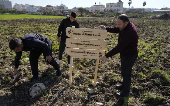 Palestinian farmers fix a sign in the ground ahead of the replant of a 10 dunam, 2.5 acres, of land with 250 olive trees, part of the joint Freedom Farm project of the Palestinian Farmers Union and the Treedom for Palestine 2025 in memory of President Jimmy Carter, in the West Bank city of Tulkarem Monday, Jan. 13, 2025. (AP Photo/Nasser Nasser)