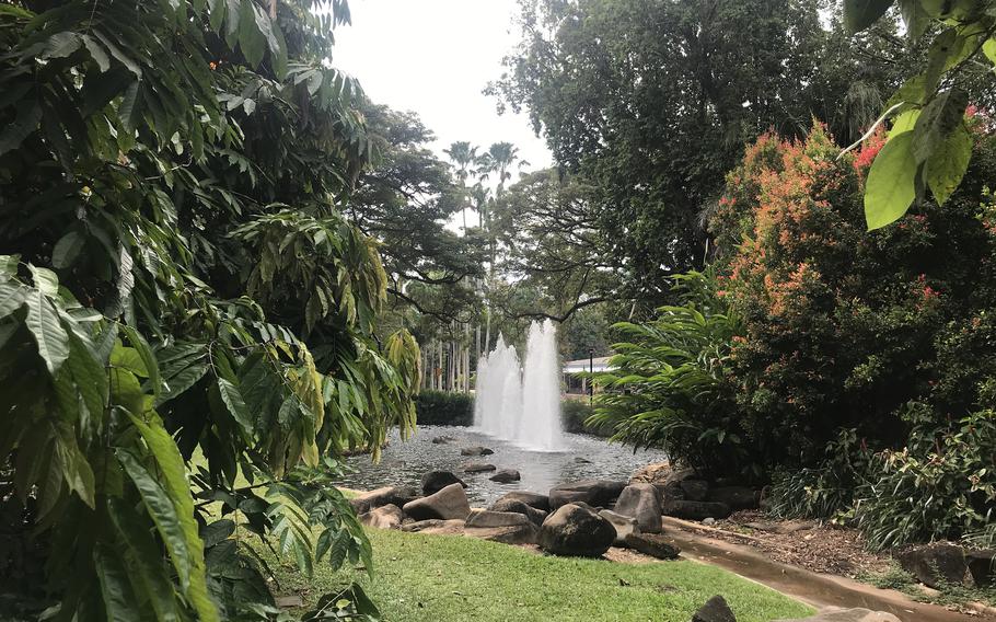 The George Brown Darwin Botanic Gardens contain a collection of Northern Australian flora, including mangroves and vines as well as introduced tropical plants such as palms and gingers. 