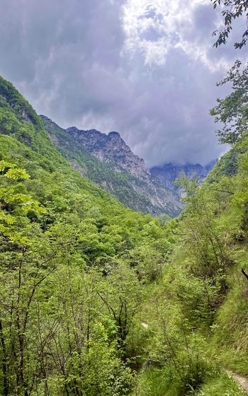 Views on the Lake Mis-Val Falcina Trail in northeastern Italy range from forest to meadow to snow-capped mountains. 