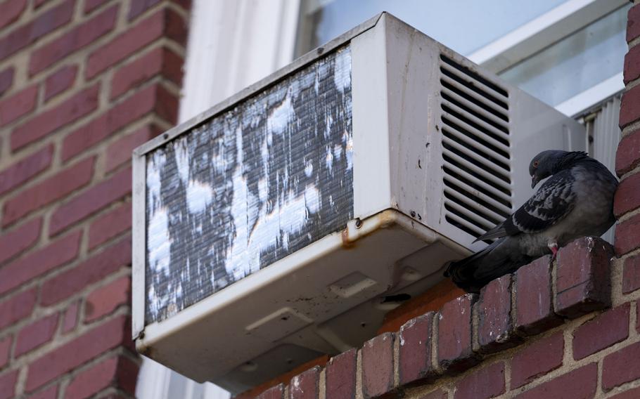 A pigeon rests by an air conditioner in Washington, D.C. 