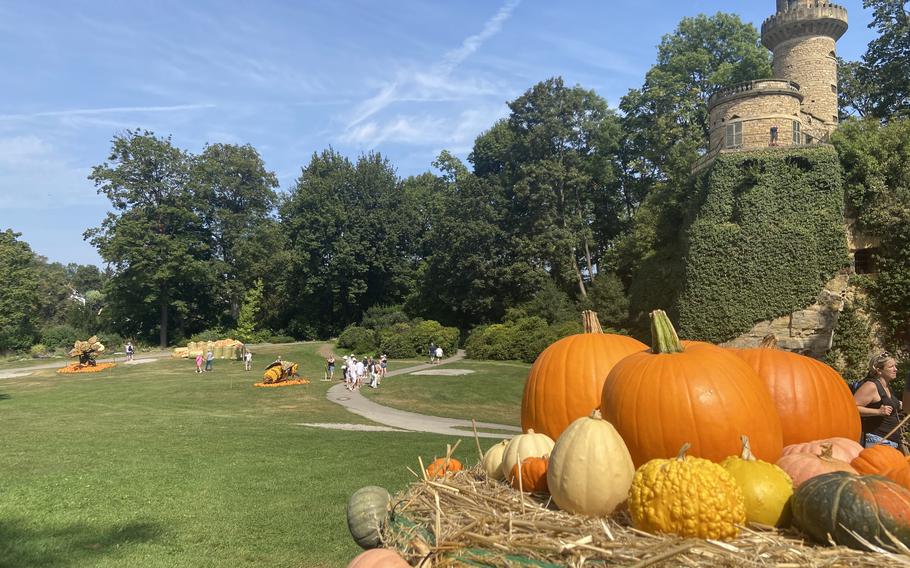 Pumpkins, squash and gourds are on display at the Ludwigsburg Pumpkin Festival on Sept. 1, 2024. 