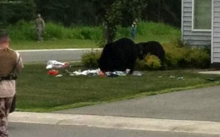 Two bears on the front lawn of a house eating garbage.