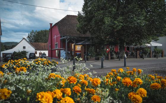 Zum Landgrafen's charming exterior, viewed from the square across the street in Ludwigswinkel, Germany, on Aug. 17, 2024, invites patrons to relax in the shade of the linden tree in the beer garden.