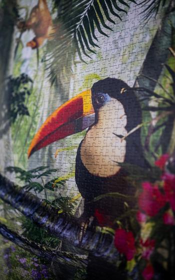 A toucan section of a large tropical jungle puzzle. 