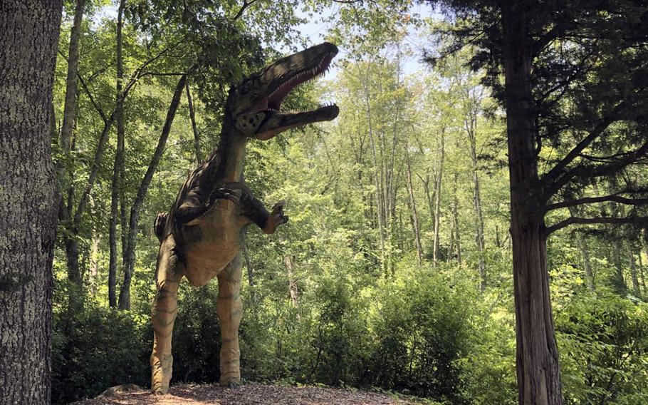 Visitors to Dinosaur Place in Connecticut will enjoy searching for lifelike dinosaur models hidden in trees or behind rock formations, some creatures towering high above them. 