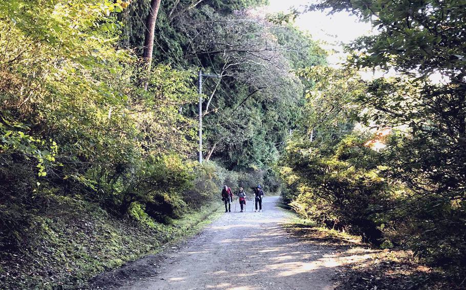 A trail through the woods at Mount Hodo in Nagatoro.