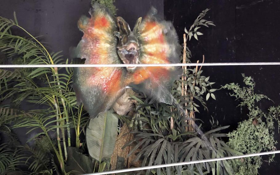 A Dilophosaurus behind a pretend electric fence shakes, roars and spits pretend venom at Dinosaur Place in Oakdale, Conn.