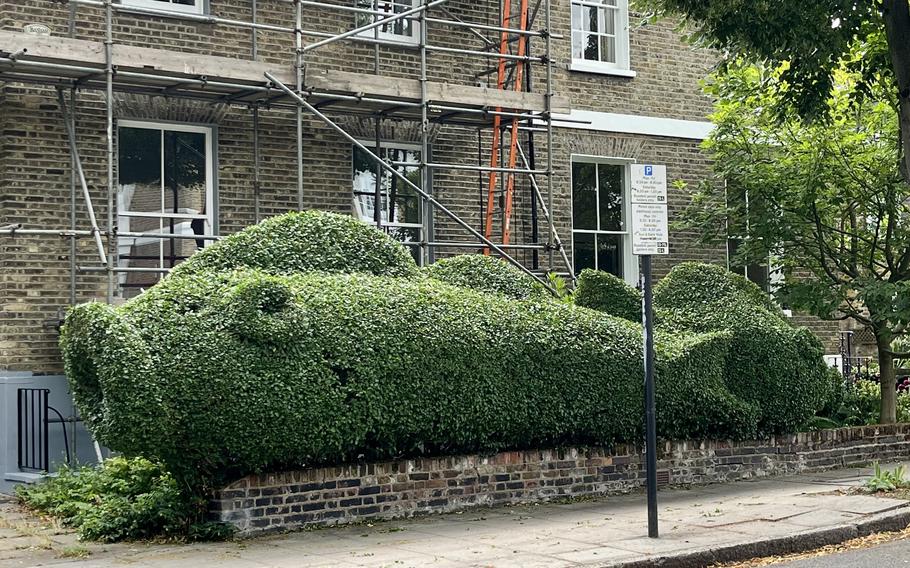 Tim Bushe has also turned hedges into a pair of fish. 