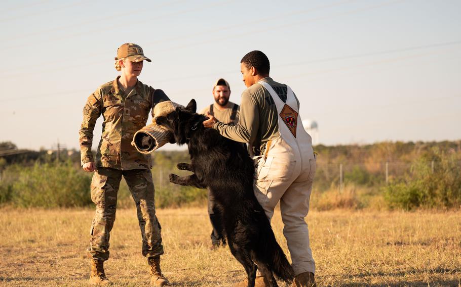 Air Force 2nd Lt. Madison Marsh gets bit by a military working dog