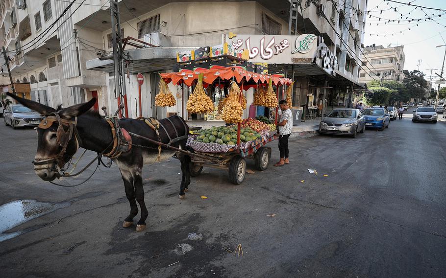 A fruit seller uses a donkey cart last month in Gaza City. 