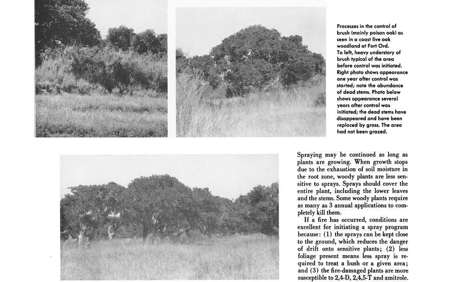 A 1962 article in California Agriculture includes before and after photos showing the effectiveness of chemical brush control used in a live oak woodland at Fort Ord, citing 2,4-D and 2,4,5-T, the chemicals in Agent Orange.