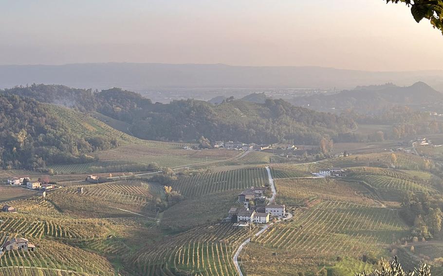 The terraced plots of Glera grapes in the Conegliano and Valdobbiadene regions of Italy are called ciglioni and give the area a distinct checkerboard pattern.