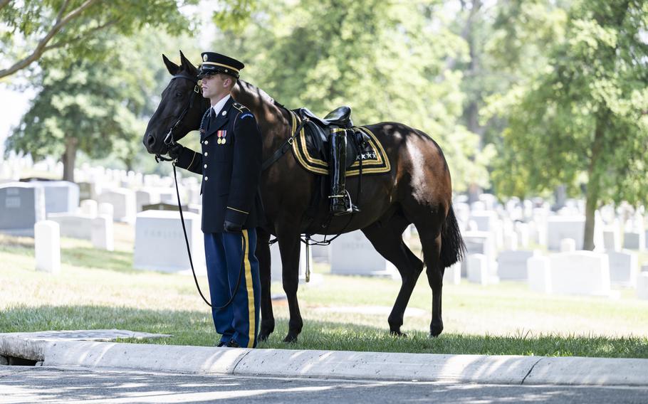 A horse from the 3rd U.S. Infantry Regiment (The Old Guard) supports military funeral honors with funeral escort for retired Gen. Alfred Gray Jr., the 29th Commandant of the Marine Corps, in Section 35 of Arlington National Cemetery, Arlington, Va., July 29, 2024. 