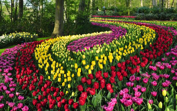 The incomparable Keukenhof Gardens in Lisse, Netherlands, opens for the season on March 20. 