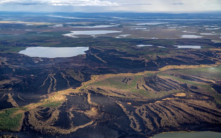 A significant part of the forest in northern Yakutia burned in August 2022. 