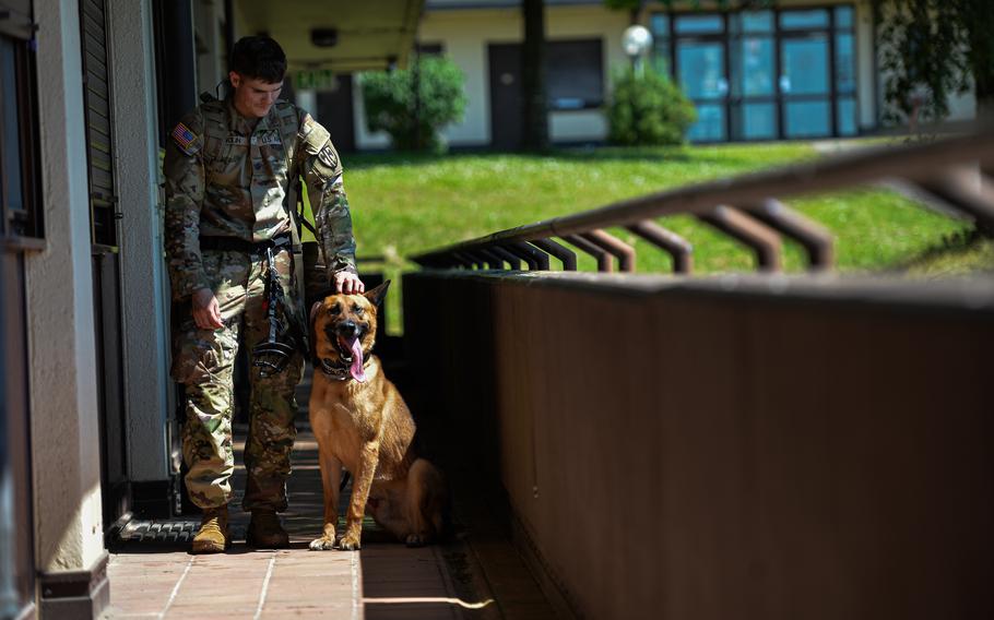 U.S. Army Pfc. Toby Wolin, of the 100th Military Police Detachment, pets his dog Szike before a building search during training at Spangdahlem Air Base, Germany, on June 26, 2024.