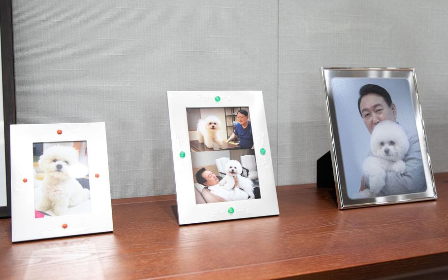 Photos of South Korean President Yoon Suk Yeol and his dog on display in his office.