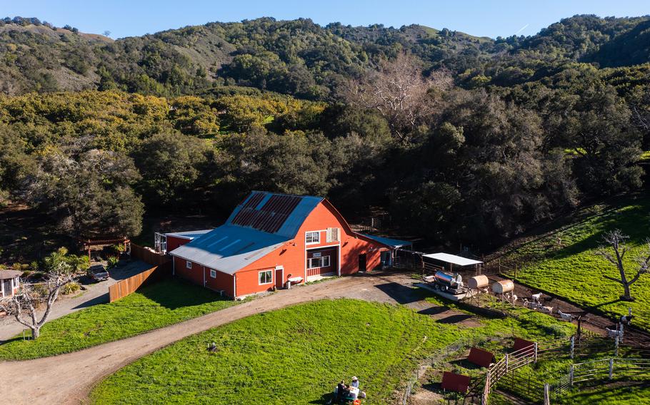 Stepladder Creamery is surrounded by the Santa Lucia Mountains. The creamery’s owners Michelle and Jack Rudolph make small-batch cheeses from the milk of their own herd of frisky LaMancha goats, and cow’s milk cheeses sourced from the dairy program at nearby California Polytechnic State University.