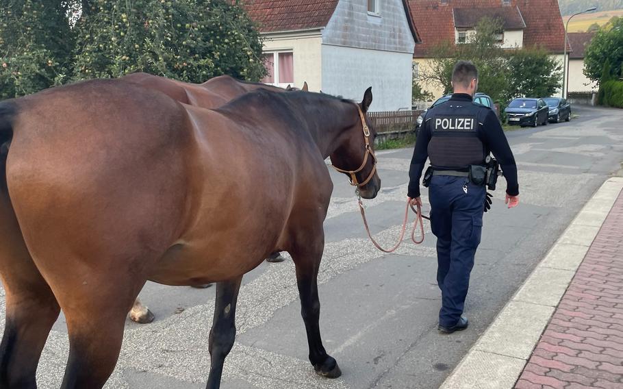 A loose horse near train tracks in Kaiserslautern was safely captured by police on Wednesday, Sept. 18, 2024, with no injuries reported. The cause of the escape is under investigation.