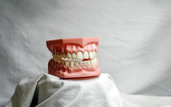 A set of fake teeth sit on display against a white background.