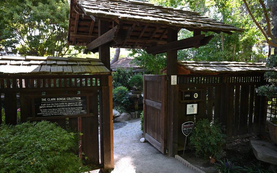 The Clark Bonsai Collection, located inside Shinzen Friendship Garden, on Sept. 4, in Fresno, Calif.