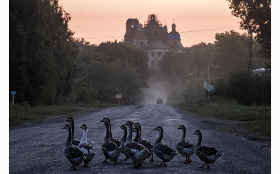 Geese walk on a road in front of a church in Yunakivka near the Russian border.