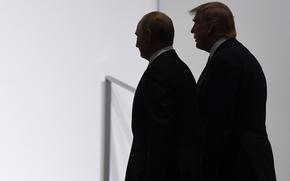 Putin and Trump, in shadow, walk side by side.