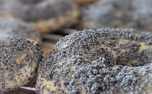 Close-up view of a bagel topped with poppy seeds.