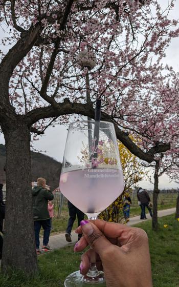 A pink drink in a stemmed glass with blossoming almond trees in the background.