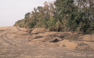 A trench and mounds of dirt along a tree line in the Donetsk region of Ukraine.