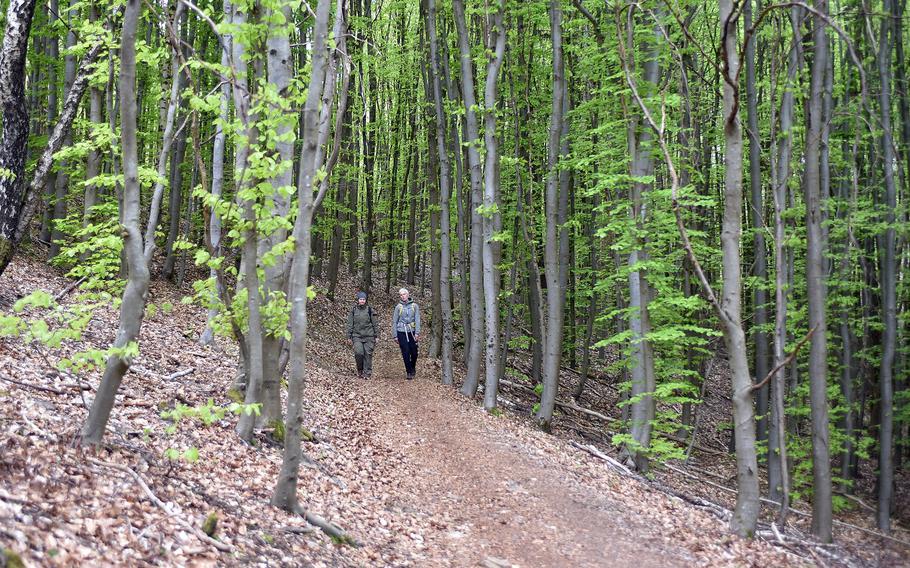 A pair of hikers walk along a path on the Donnersberg near Dannenfels, Germany, on April 28, 2024. The summit of the mountain is the highest point in the Pfalz region.