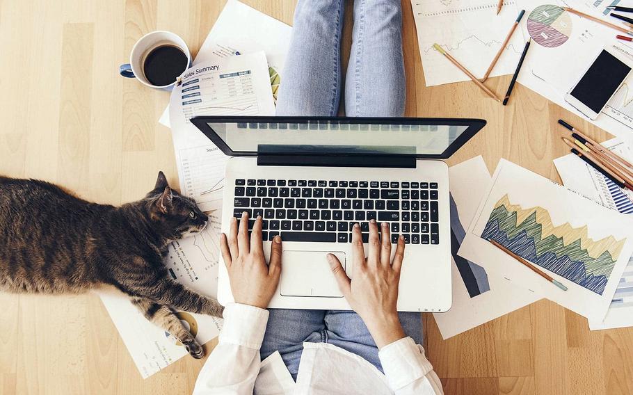 Someone works on a laptop next to a cat while sitting on the floor surrounded by paperwork.