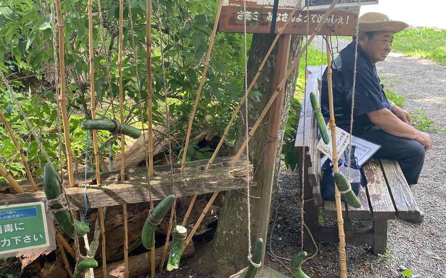 Bamboo poles baited with cucumber are what you'll use to catch the mythical kappa at Kappabuchi Pool in Tono, Japan.