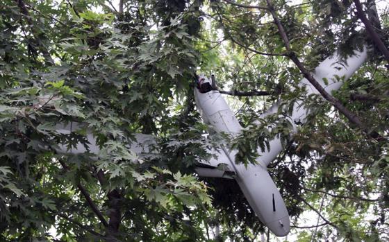 A white drone sits in a tree.