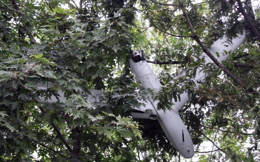 A white drone sits in a tree.