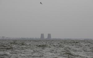 The two cooling towers of the nuclear plant as viewed from across the water.