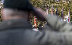 Veterans salute the flag during the presentation of colors at the Veterans Day At The Wall, Monday, Nov. 11, 2024 in Washington. (Eric Kayne/Stars and Stripes)